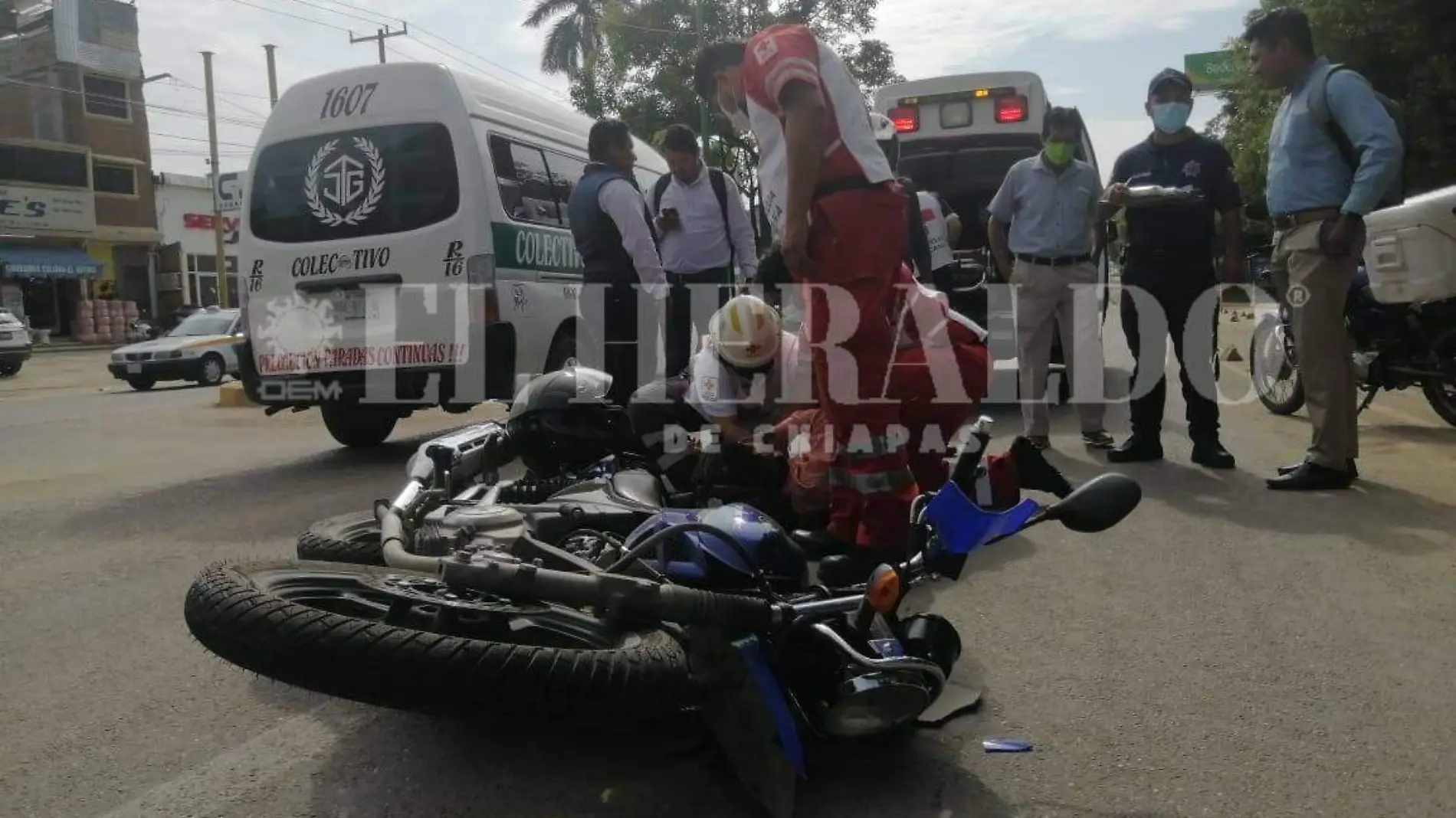 accidente en el albino corzo